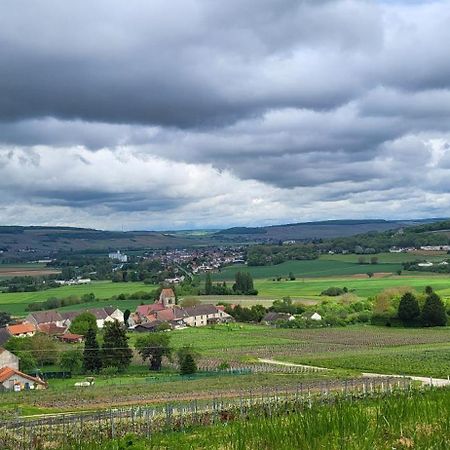 Le Coq De Champagne Villa Dormans Buitenkant foto