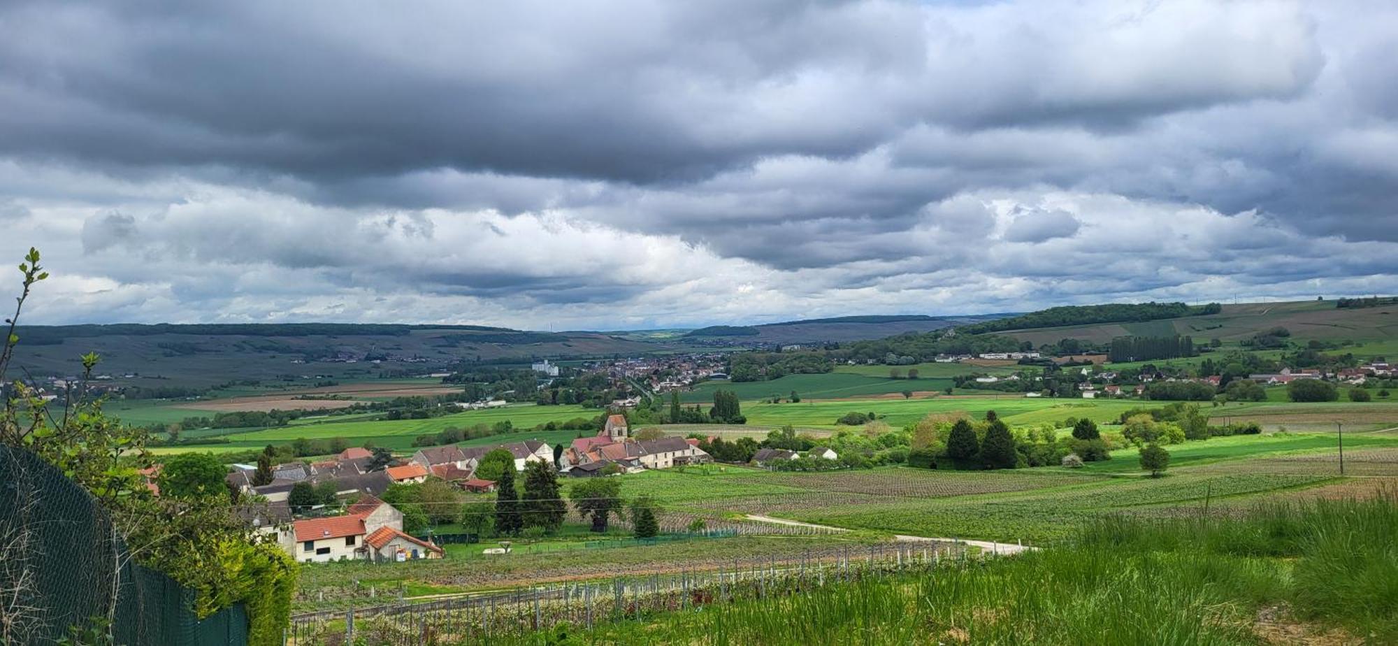 Le Coq De Champagne Villa Dormans Buitenkant foto