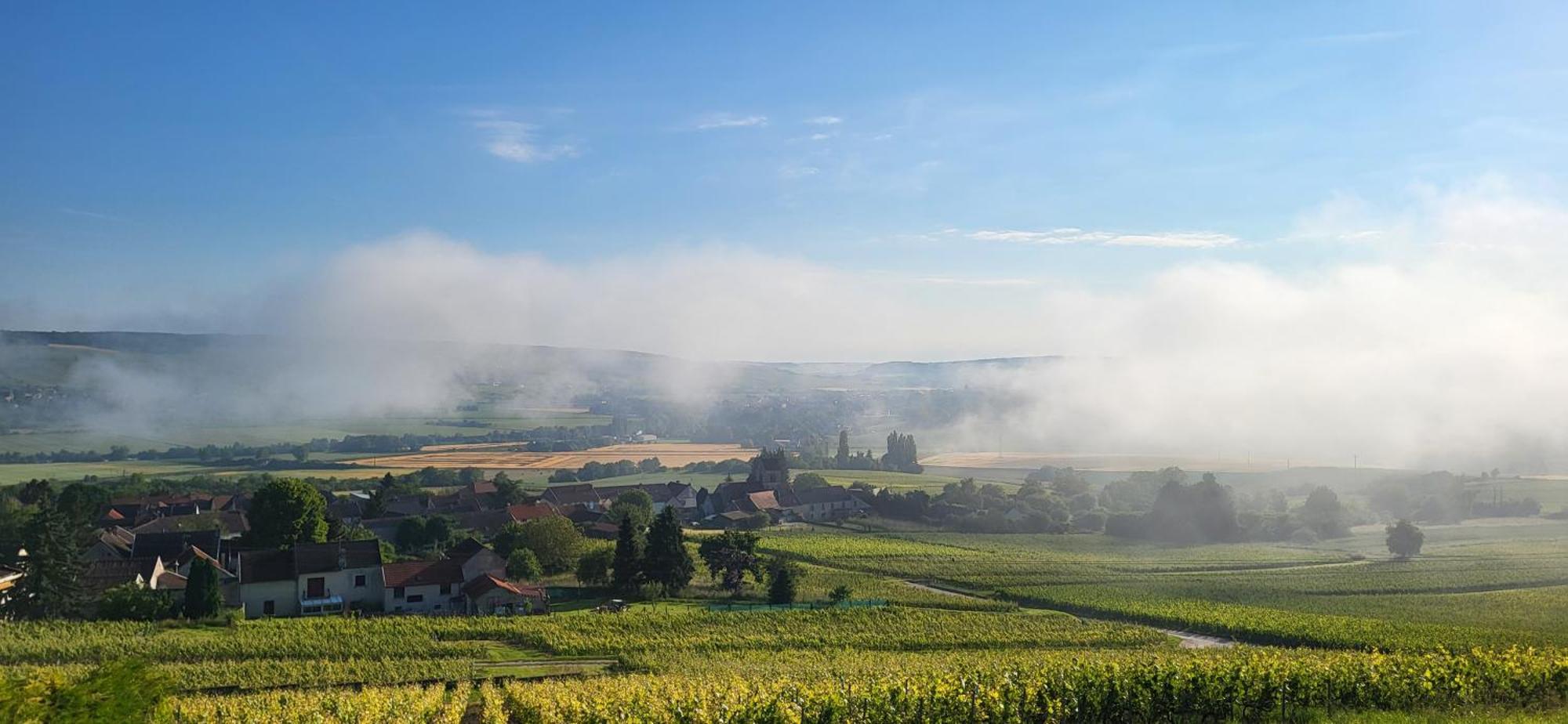 Le Coq De Champagne Villa Dormans Buitenkant foto